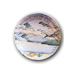 Image of a decorative plate from Yellowstone Park