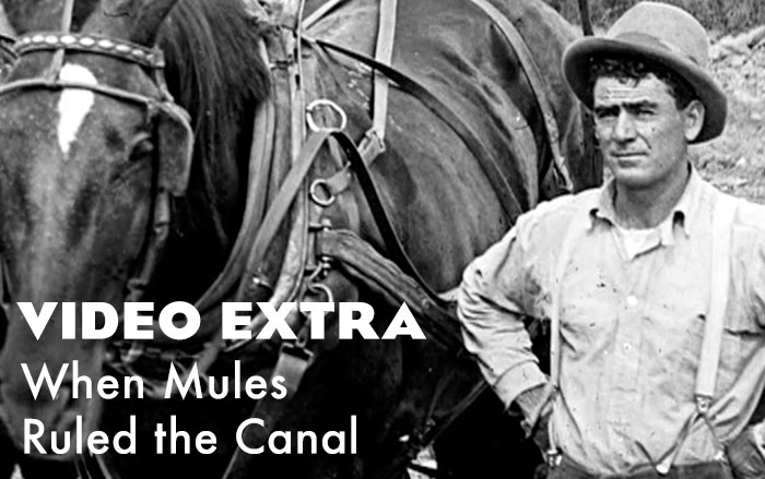 Video Extra; When Mules Ruled the Canal
