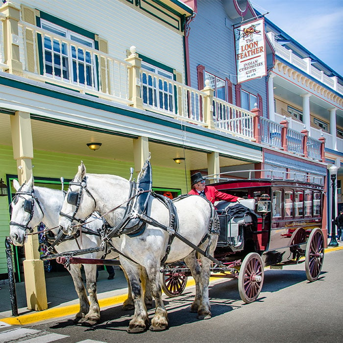 horse-drawn carriage in Mackinac Island