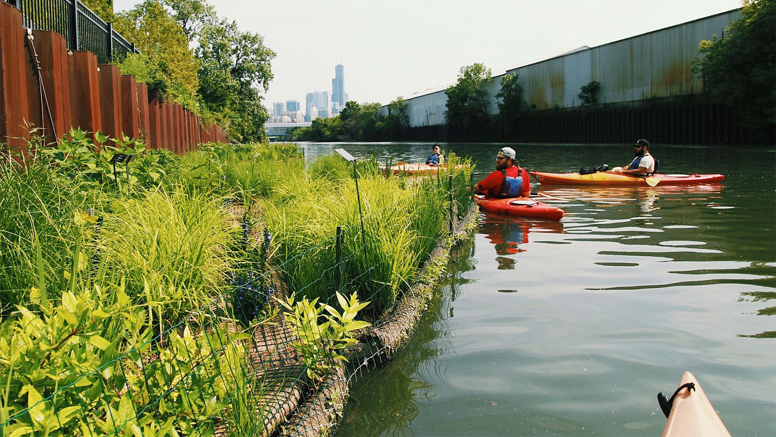 Volunteers and employees of Urban Rivers kayak near the organization’s floating gardens on the North Branch of the Chicago River