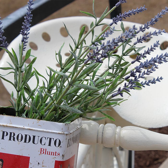 bike decorate with lavender