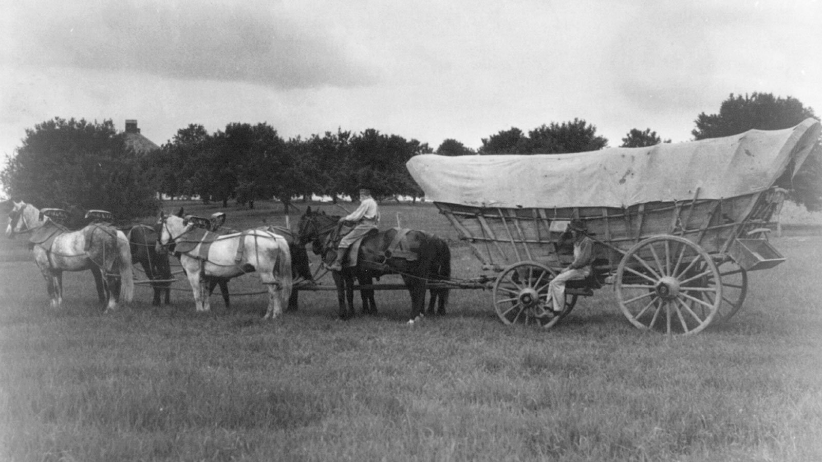 Conestoga wagon was used for carrying freight on the National Pike
