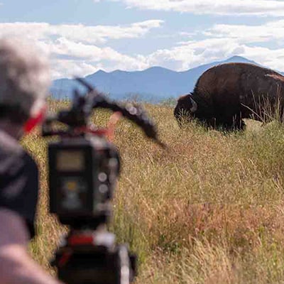 Filming of American Buffalo at National Bison Range, Montana, June 24, 2021. Credit: Jared Ames