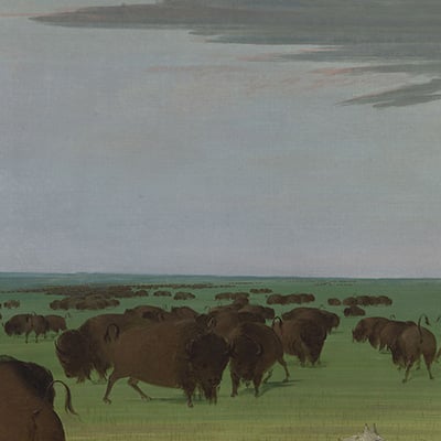 “Buffalo Hunt under the Wolf-skin Mask” by George Catlin, 1832-1833. Credit: Smithsonian American Art Museum