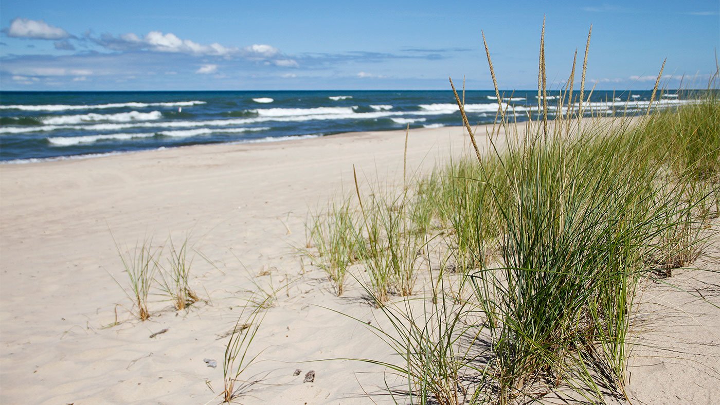 Dune grass at West Beach in the Indiana Dunes National Park in Indiana