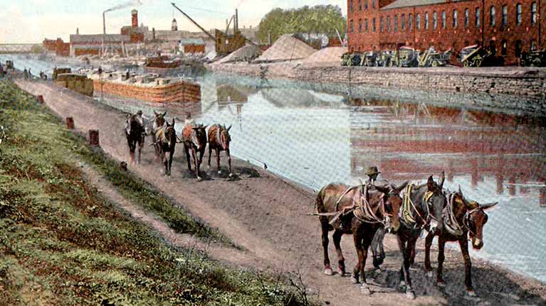 When Mules Ruled the Canal