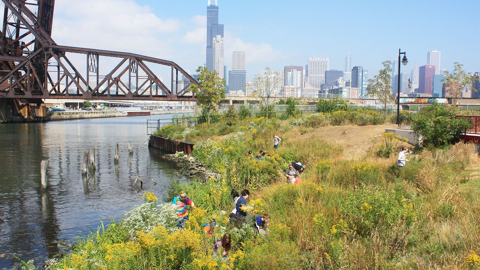 Chicago River cleanup