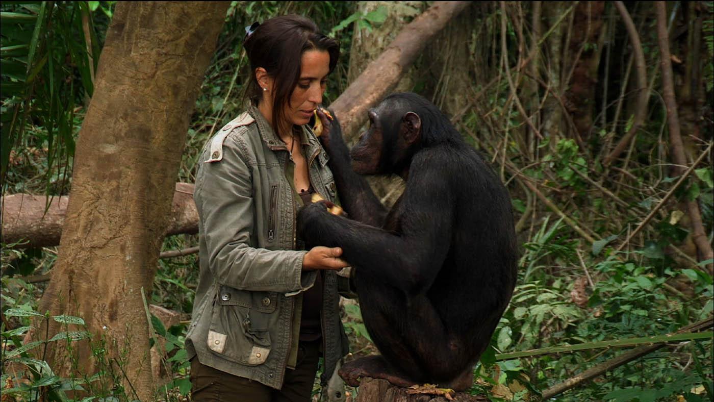 Dr. Rebeca Atencia with the chimpanzee Kudia. Photo: Tigress Productions