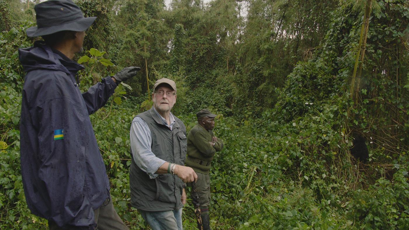 Peter Greenberg and Rwandan President Paul Kagame tracking gorillas in Volcanoes National Park