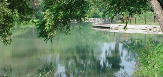 A lagoon in Chicago's Gompers Park