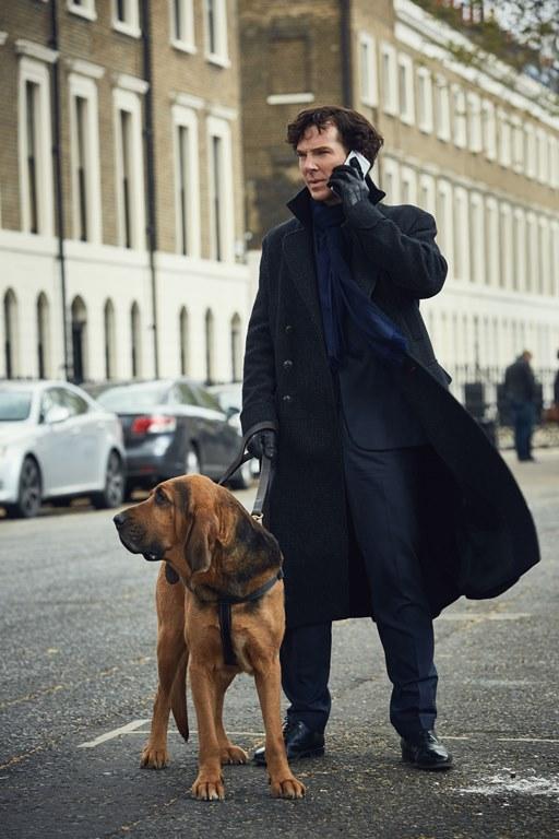 Sherlock on the job with a dog. 