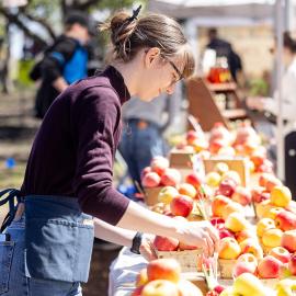 A woman setting out apples at a farmers market