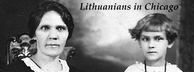 The Lithuanians in Chicago Banner