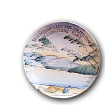 Image of a decorative plate from Yellowstone Park