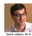 David Laibson, Ph.D.