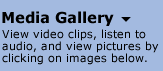 Explore video/image gallery