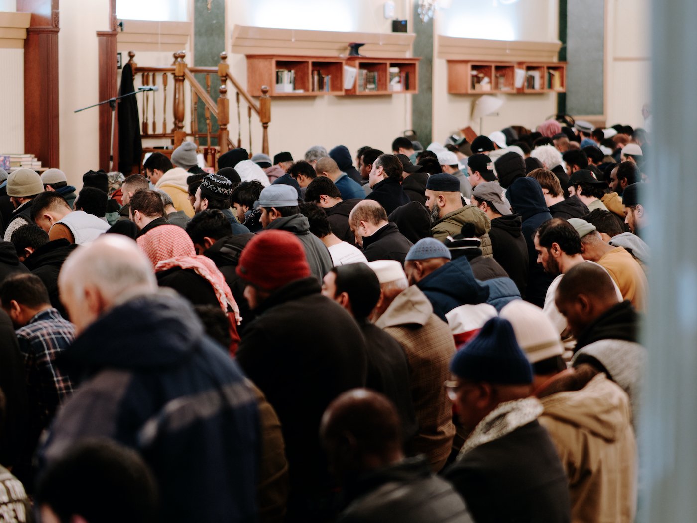 Rows of Muslim men kneel during prayers