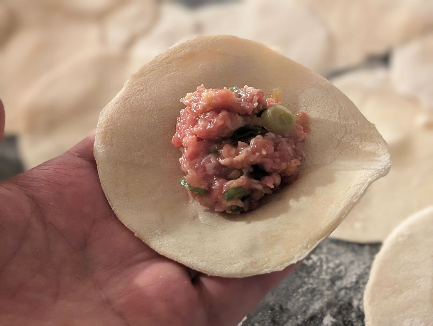 A hand holds a round dumpling wrapper with pork filling on top