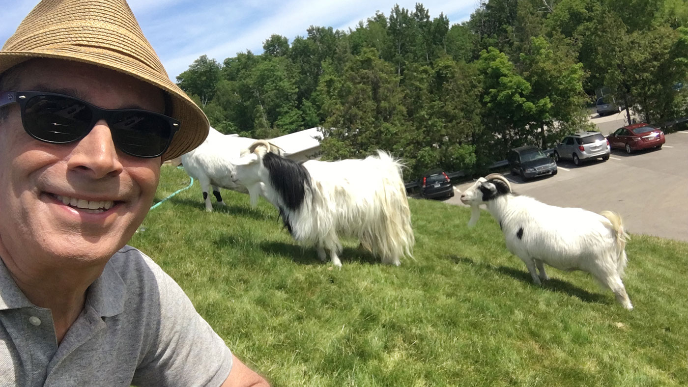 Geoffrey snaps a selfie with the goats that graze atop Al Johnson's Swedish Restaurant