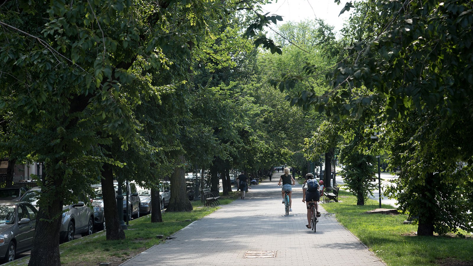People walk and bike along Eastern Parkway in Brooklyn, 2017