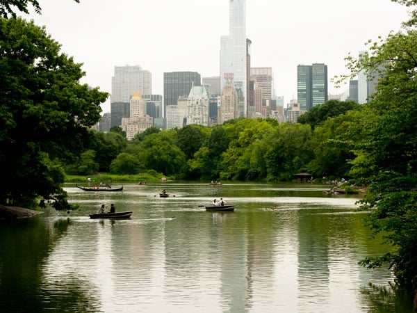 Central Park (credit Jon Smith)