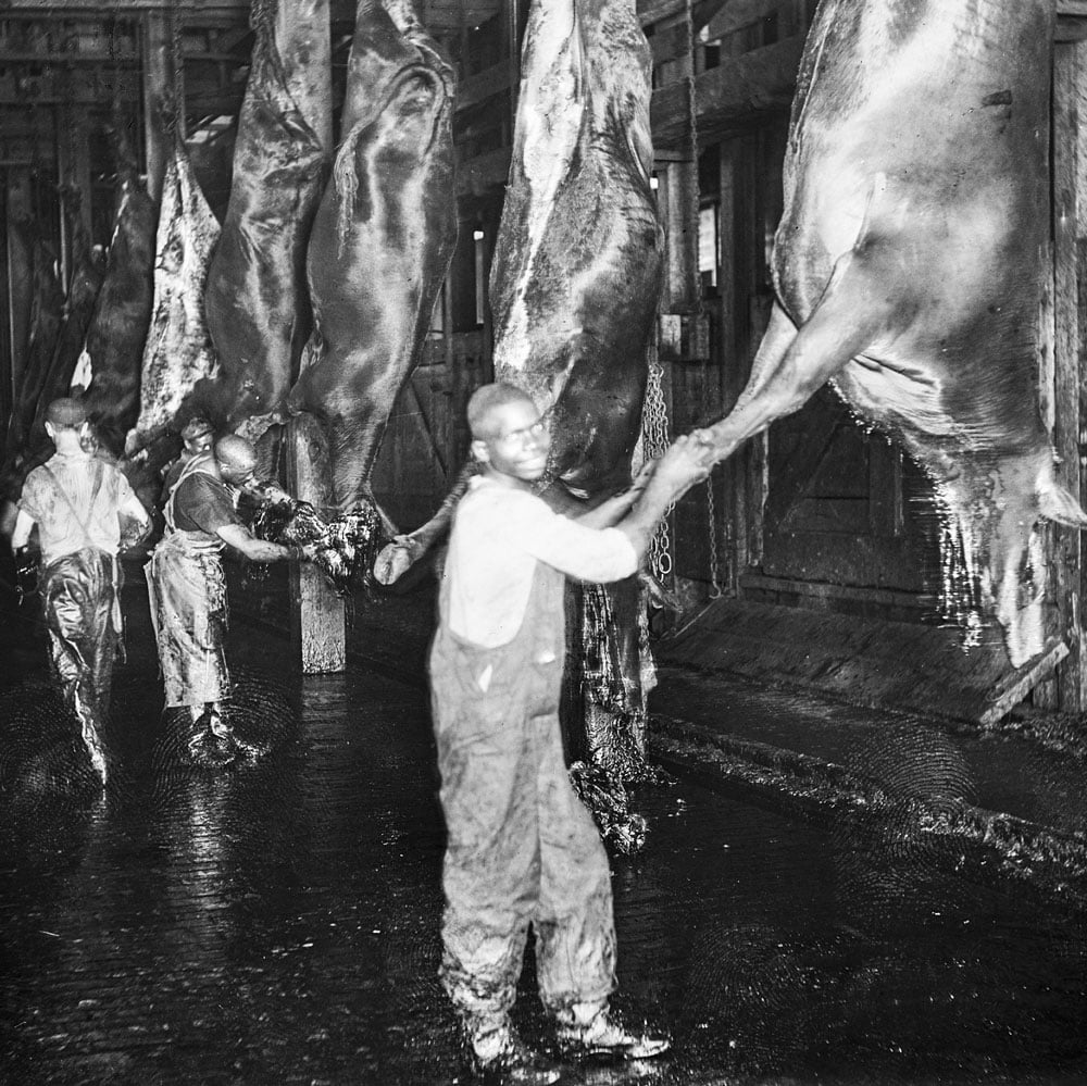 Black workers in meatpacking plant