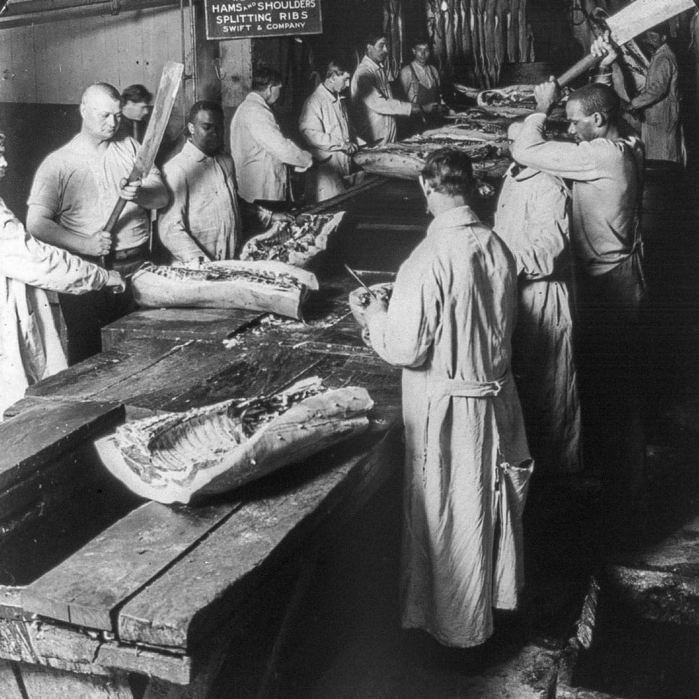 A hog being butchered at Swift & Company in 1905