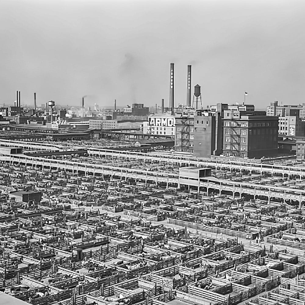 Vintage photo of Union Stockyards pens with industrial buildings in background