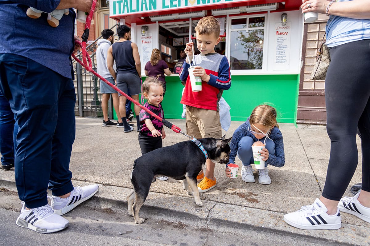 Small kids and a dog eating their icy treats.