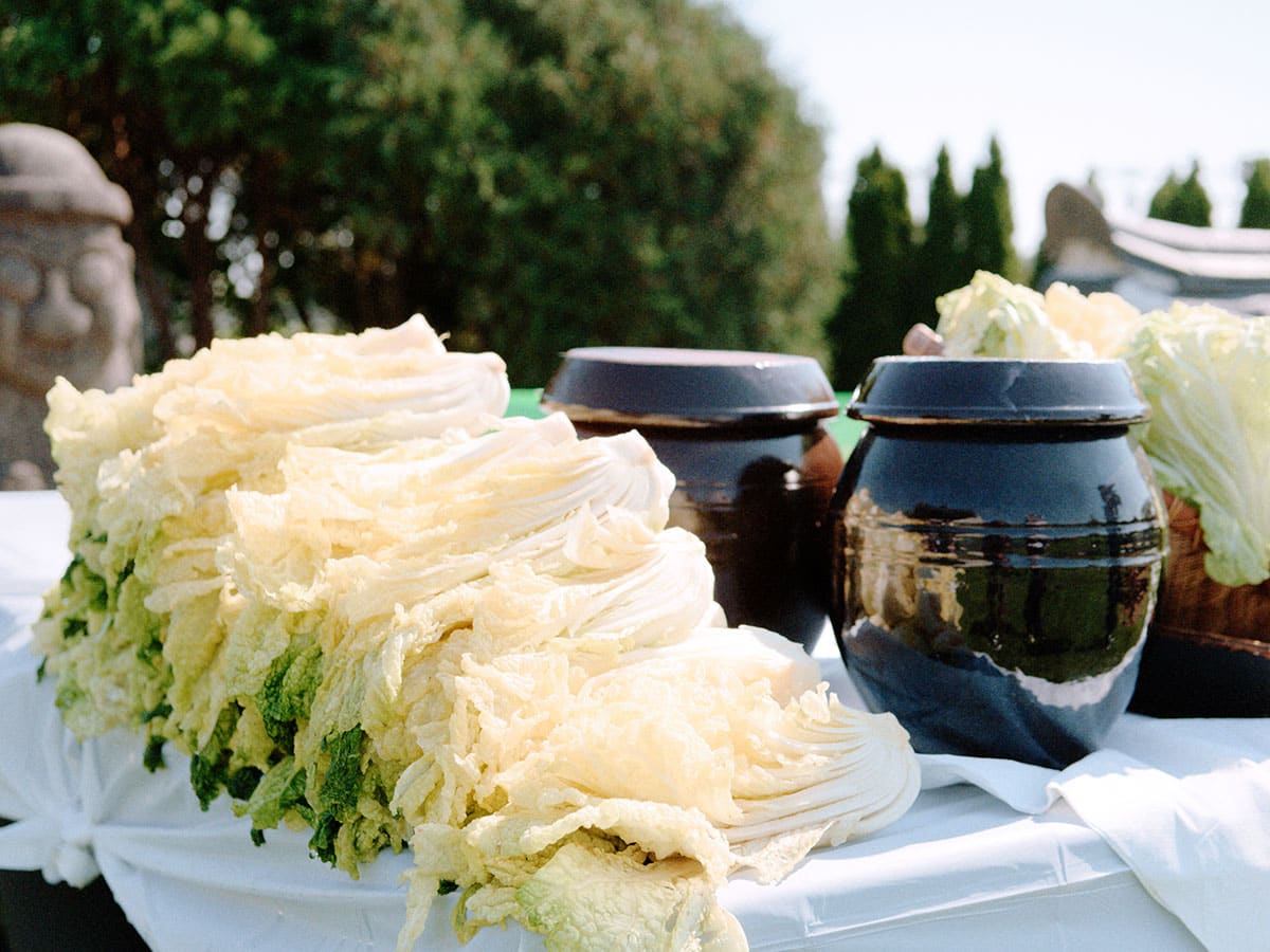 Napa cabbage heads and containers sitting on a table