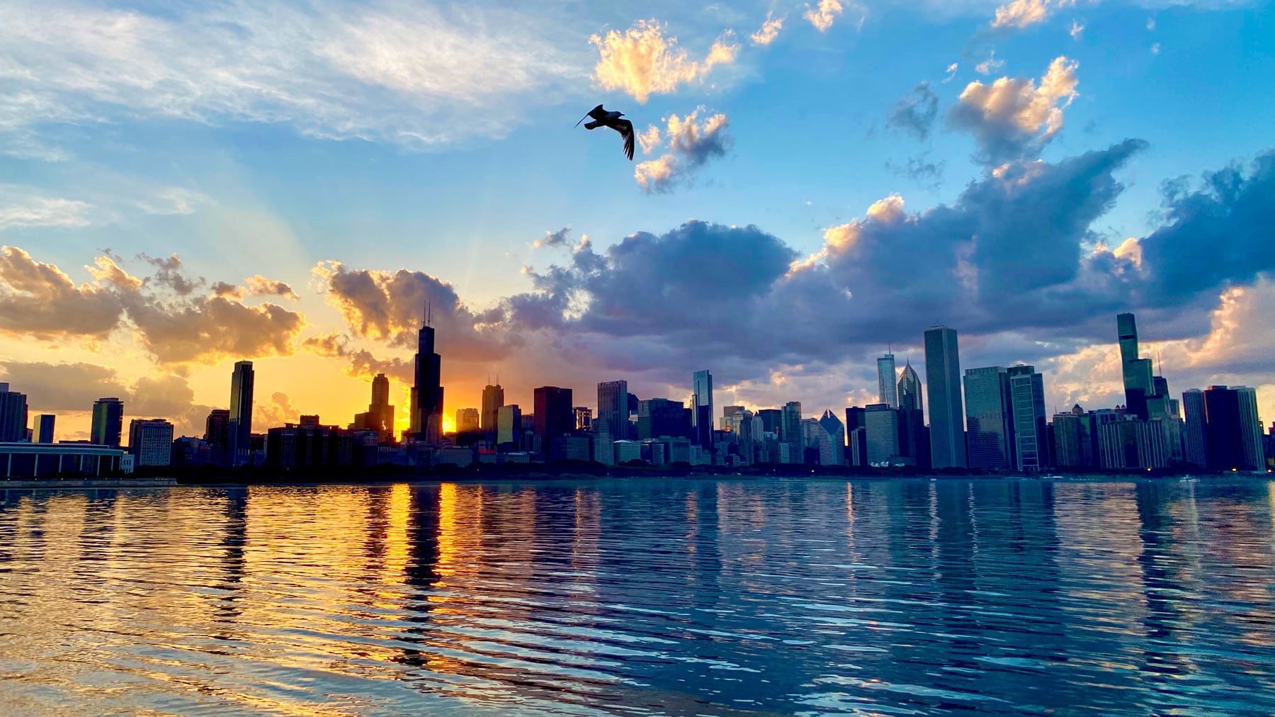 Chicago skyline pictured from Lake Michigan at sunset, with bird flying over