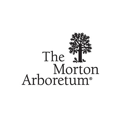 Morton Arboretum