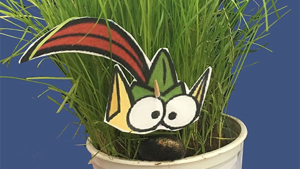 Grass head