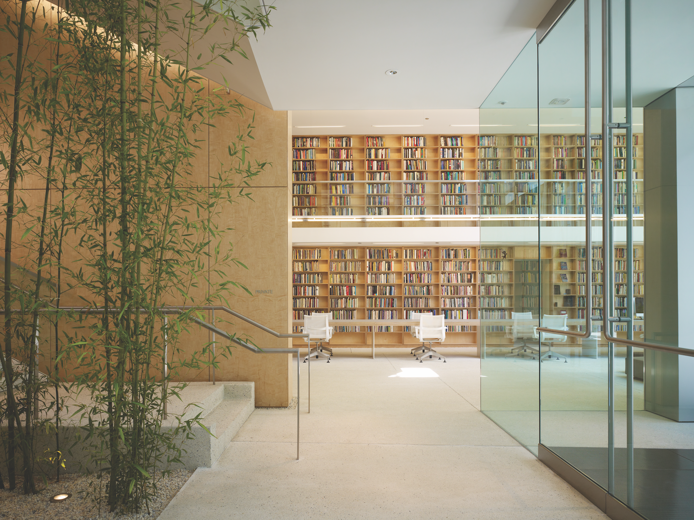 A view into the library in the Poetry Foundation, with bamboo on the left