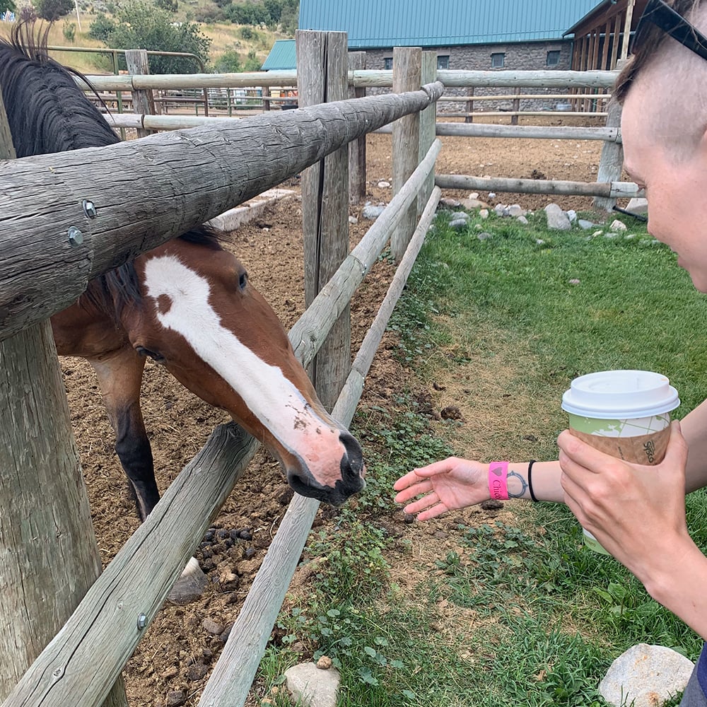 petting a horse