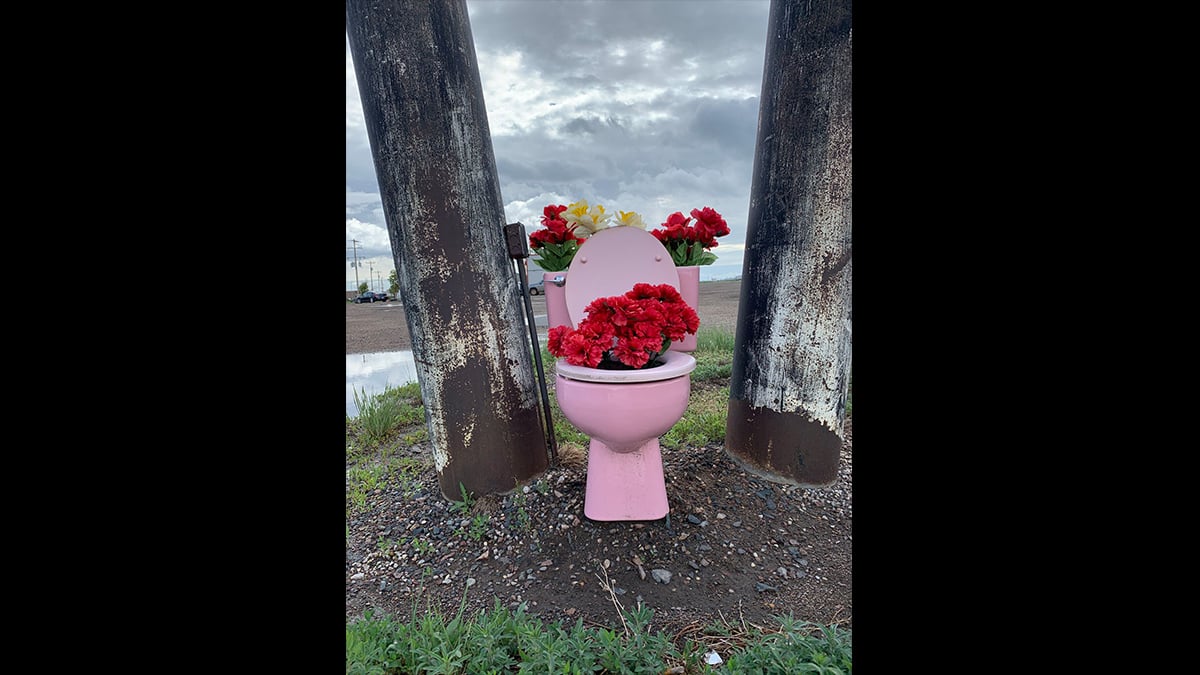a pink toilet