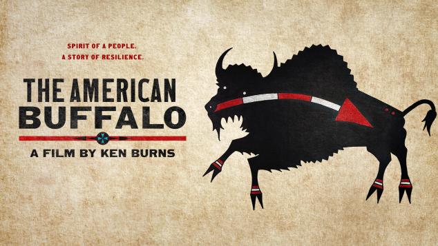The American Buffalo: A WTTW Behind-the-Scenes Preview & Discussion