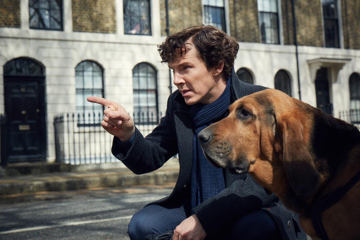 Sherlock and his new canine friend.