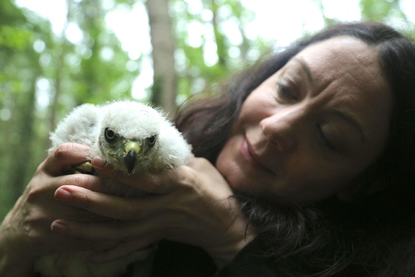 Helen Macdonald, author of H is for Hawk, with a goshawk chick. Photo: Courtesy Mike Birkhead Associates