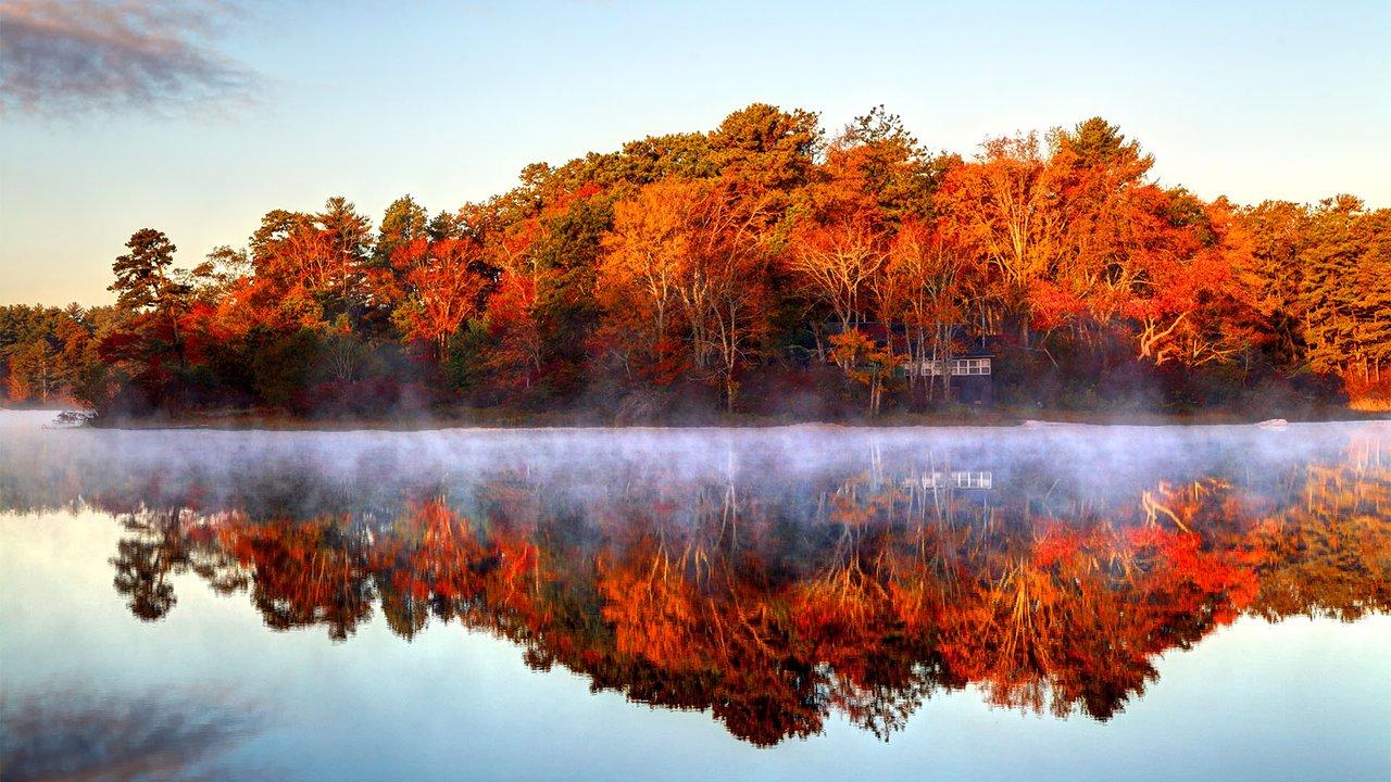 Autumn mist on a small pond in Plymouth, Massachusetts, during the peak autumn foliage season in the Myles Standish State Forest on the South Shore. Photo: Getty Images