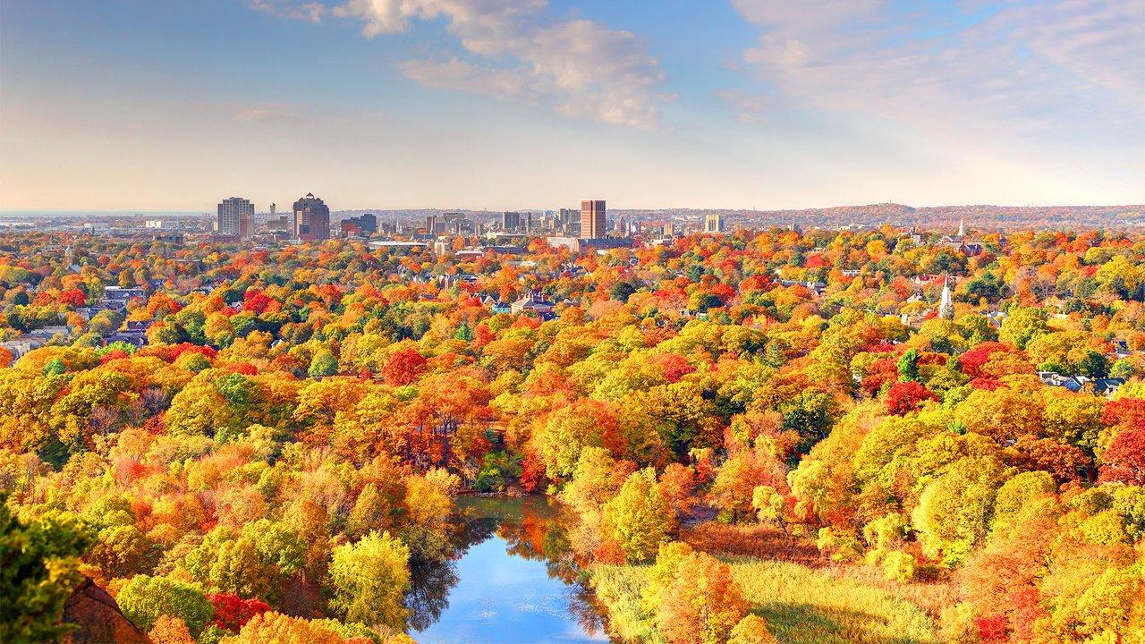 New Haven, Connecticut in fall. Photo: Getty Images