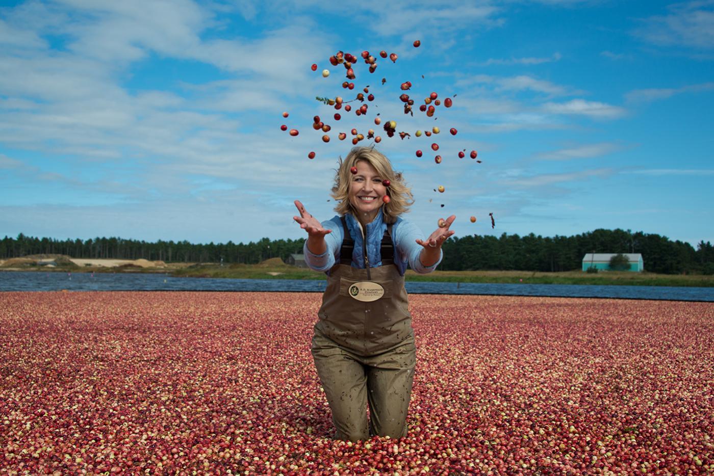 Samantha Brown in a cranberry bog in Wareham, Massachusetts. Photo: PBS/BBC