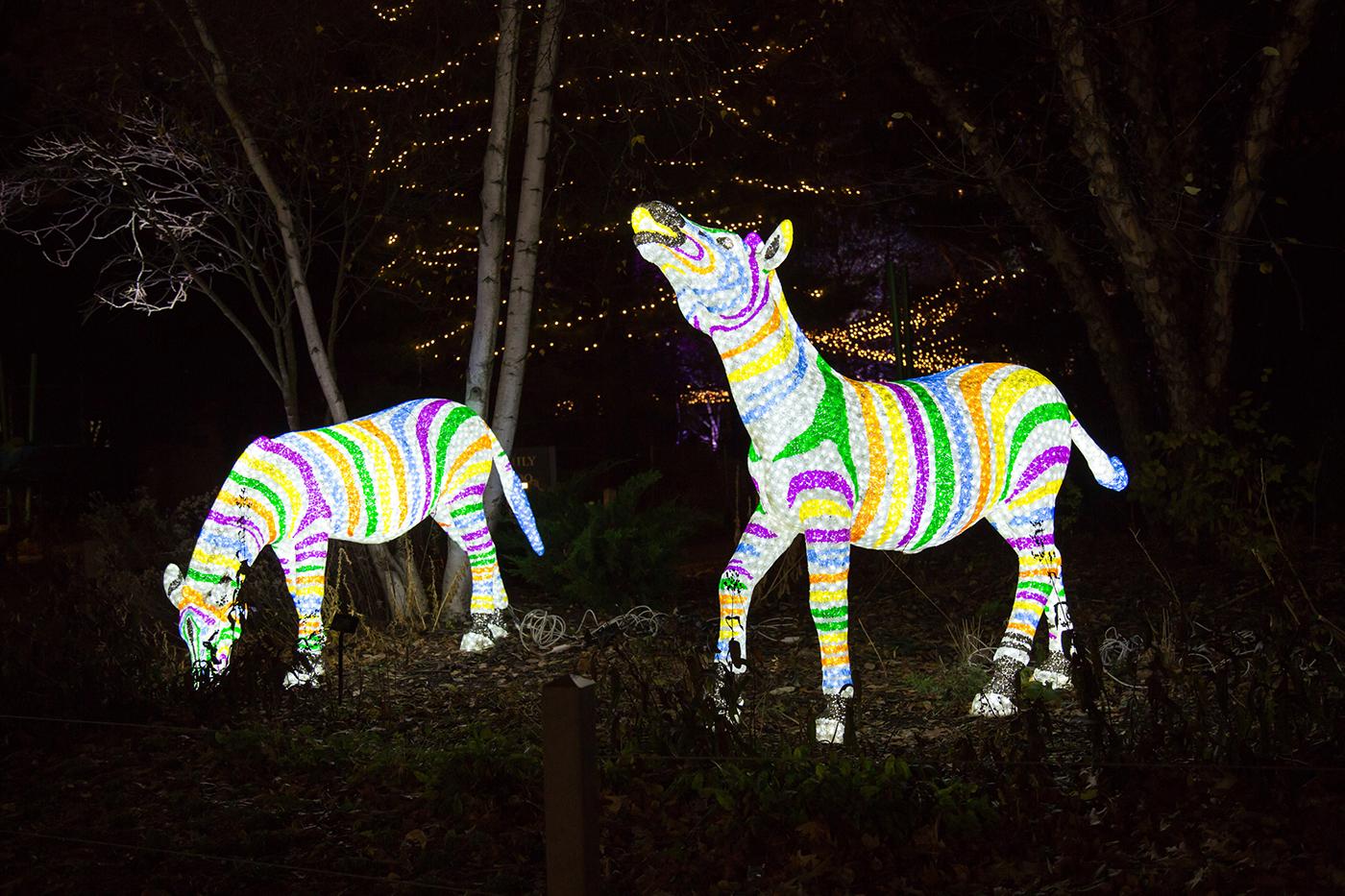 Lincoln Park ZooLights and Its More Than Two Million Lights Are Back