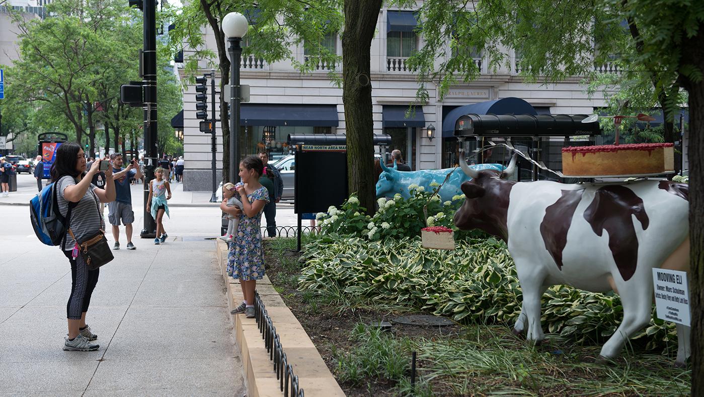 Cows Come Home on the Magnificent Mile. Photo: LaCour Images, courtesy of The Magnificent Mile Association
