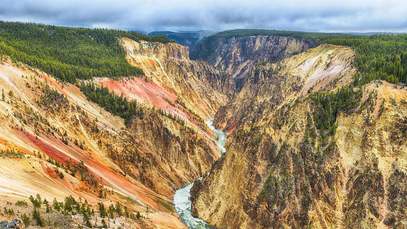 The Great Yellowstone Thaw