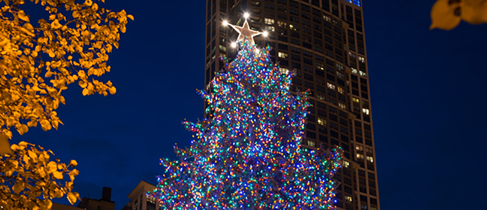 City of Chicago Christmas Tree
