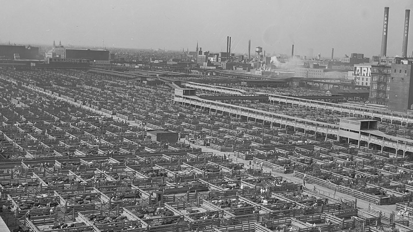 Chicago's Union Stockyards in 1941. Photo: Courtesy of the Library of Congress
