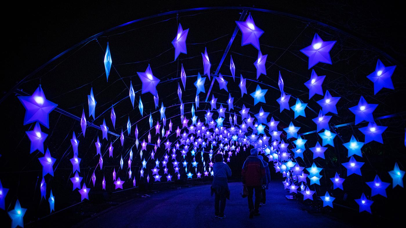 A tunnel of stars at Lightscape at the Chicago Botanic Garden
