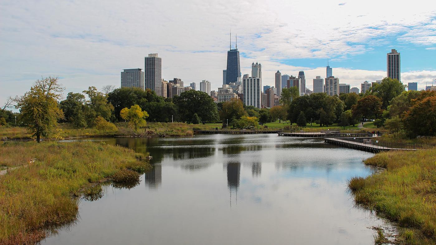 Chicago's skyline seen over a pond in Lincoln Park 