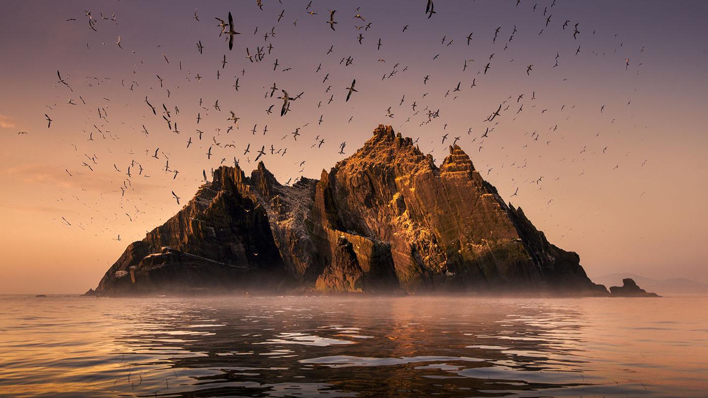 The island of Little Skellig, home to a large colony of northern gannet birds. Photo: George Karbus
